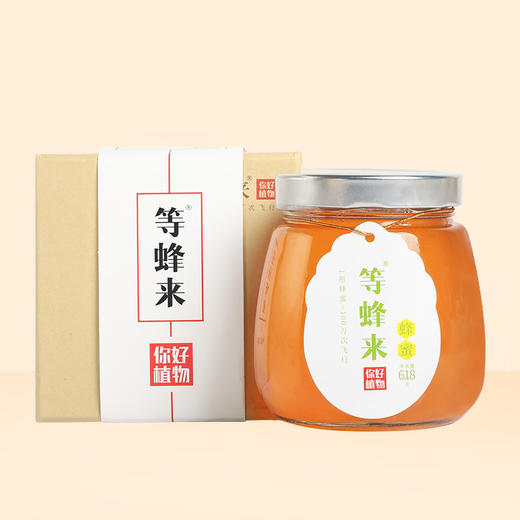等蜂来 田园蜂蜜618g/瓶【CZ】 商品图1
