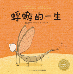 蜉蝣的一生