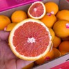 【 血橙】澳大利亚血橙，功能型水果，酸甜适宜，维生素比普通橙子多！ 商品缩略图1