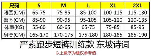 严素跑步运动短裤,东坡,训练款,带内衬,轻量,速干,透气,附袋 严素态度 商品图7