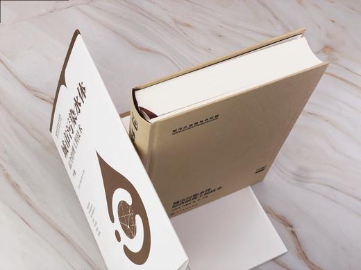 城市污染水体综合治理工程技术（上、下册） 商品图5