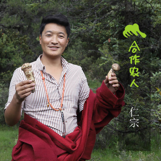 野生稻城松茸 | 合作生产 * Daocheng Matsutake | Partner Production 商品图1