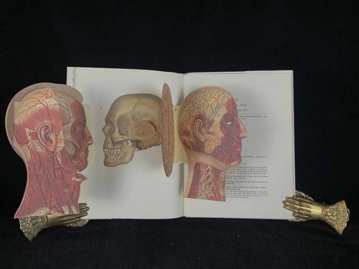 医学经典人体解剖立体书 4页可展开的彩色立体插图 精装16开 商品图11