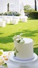 白绿色户外婚礼甜品台 商品缩略图6