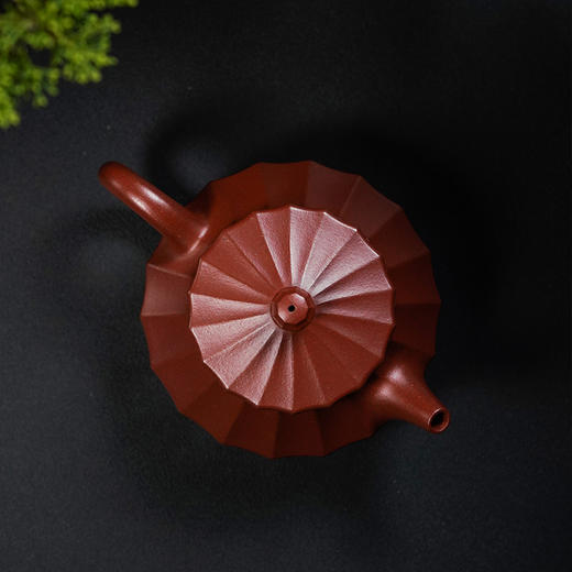 宜兴龙德堂陶艺 汤宣武《韶光》原矿大红袍 200 cc 商品图2