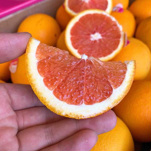 【cara 血橙】澳大利亚血橙,功能型水果,酸甜适宜,维生素比普通橙子多