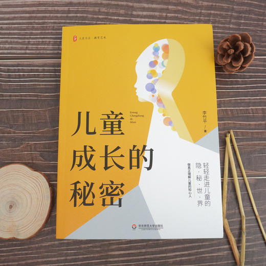 儿童成长的秘密 大夏书系 一线教师经验分享 实证性儿童教育研究 班级活动 李竹平著 商品图1