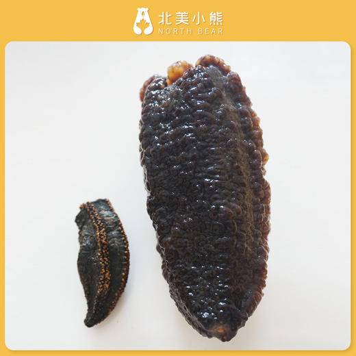 Moron Bay野生北极参海参圆筒参多规格红色袋装 #宁波仓 商品图4