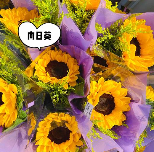 【向日葵】3支～随机赠送新鲜配花配叶 商品图0