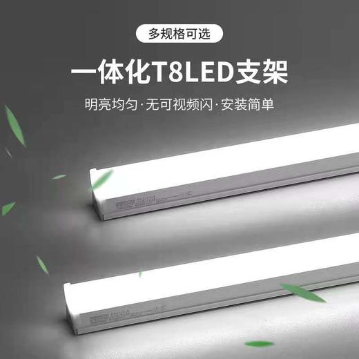 T8-光明系列全塑一体化支架 商品图3