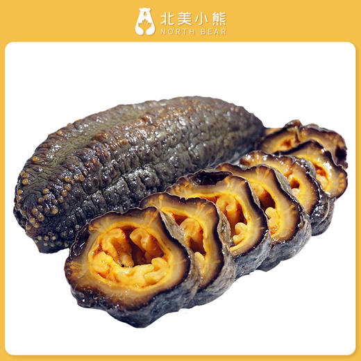 Moron Bay野生北极参海参圆筒参多规格红色袋装 #宁波仓 商品图7