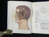 医学经典人体解剖立体书 4页可展开的彩色立体插图 精装16开 商品缩略图10