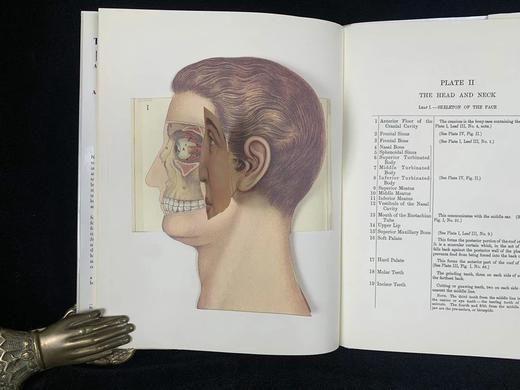 医学经典人体解剖立体书 4页可展开的彩色立体插图 精装16开 商品图10