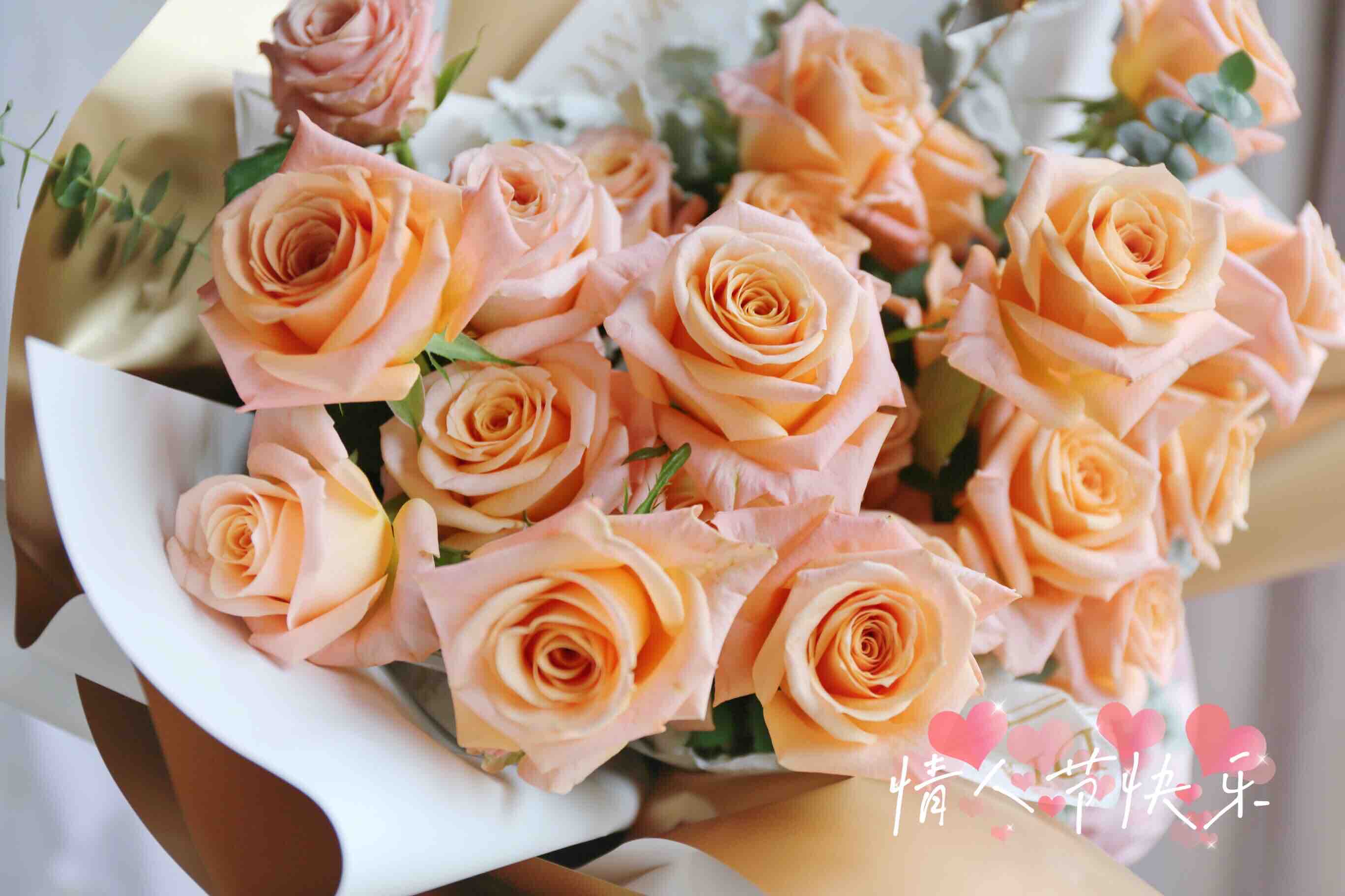 同城配送花礼 24支微光玫瑰花束