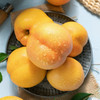 蒙阴黄油八黄油桃5斤（洗洗直接吃！很香很甜！） 商品缩略图1