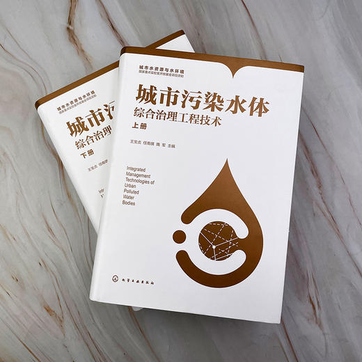 城市污染水体综合治理工程技术（上、下册） 商品图2