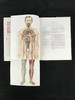 医学经典人体解剖立体书 4页可展开的彩色立体插图 精装16开 商品缩略图6