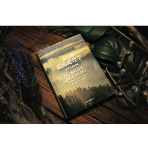 浪漫地理学 追寻崇高景观 段义孚 著 科学与自然 商品图3