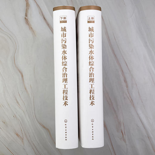 城市污染水体综合治理工程技术（上、下册） 商品图3