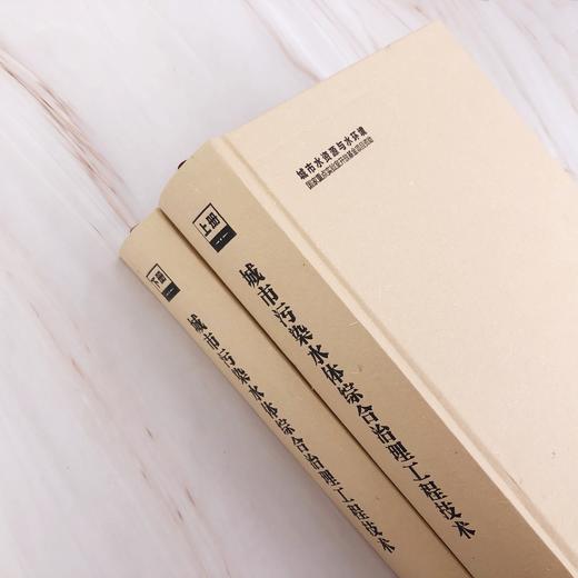 城市污染水体综合治理工程技术（上、下册） 商品图6