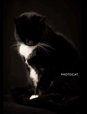 【现货】PhotoCat | 猫摄影