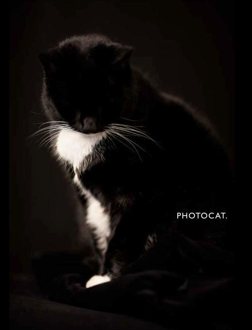 【现货】PhotoCat | 猫摄影 商品图0