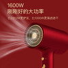 riwa/雷瓦1600w电吹风机RC-7811 商品缩略图4
