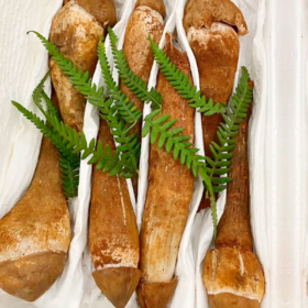 【2025年新鲜野生鸡枞菌】顺丰空运到家 鲜爽甘醇 营养丰富 清香味美 菌中之冠 精挑不开伞 香气独特  2种规格任选