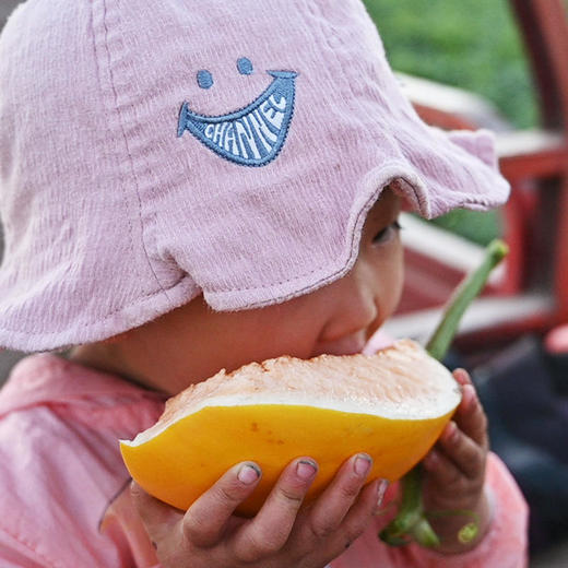 【民勤蜜瓜】沙漠中的黄金瓜金红宝密瓜甜蜜爽口多汁皮薄肉厚 商品图5