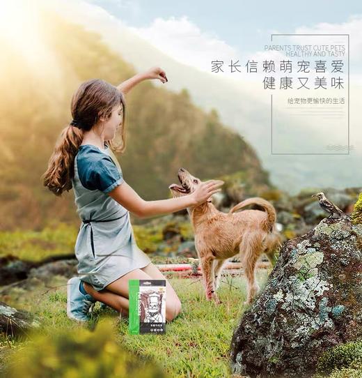 疯狂小狗 手撕牛肉条170g 高肉含量磨牙健齿 商品图2