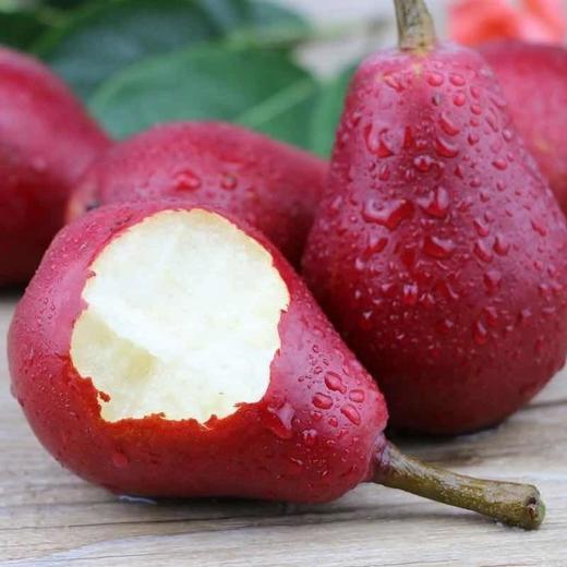 【顺丰发货】吃软不吃硬山西红啤梨咬一就会爱不释手软糯香甜 商品图2