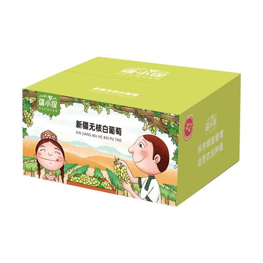 疆小提-无核白葡萄 商品图4