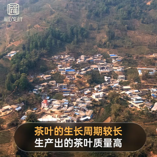 【周年纪念饼】2021年福茂祥云南临沧独享茶地普洱生茶茶饼357g*5饼 商品图1