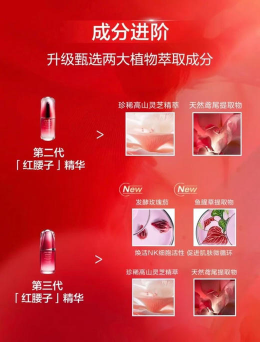 第四代红腰子精华10ml 商品图3