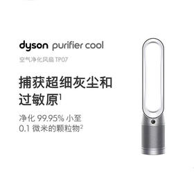 1F  dyson戴森 净化扇 TP07