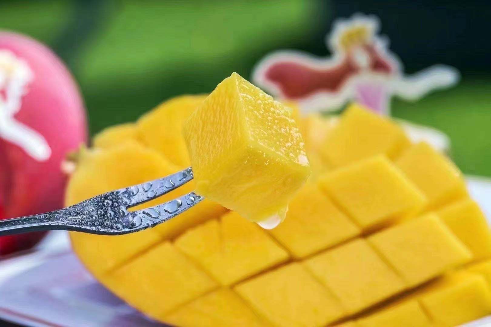 强烈推荐 野生凯特王妃芒果 皮薄核小肉厚,纤维少,果肉橙黄,超浓的