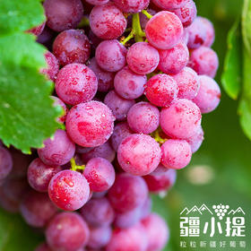 疆小提-玻璃翠葡萄