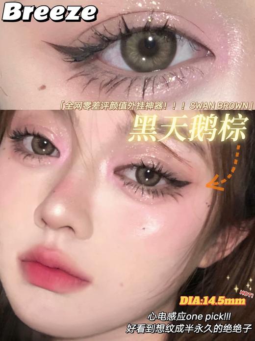 Breeze黑天鹅棕 约14.5mm 着色约13.9mm【年抛型】【瞳孔偏大可能会挡视线，介意慎拍】  商品图0
