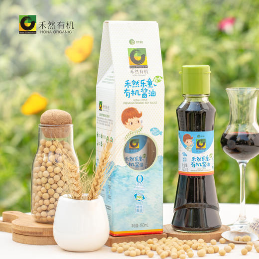 禾然乐童佳味有机酱油 160ml 商品图0
