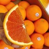 【澳洲新骑士血橙】5个/份，橙香浓郁，口感细腻 商品缩略图0