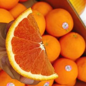 【澳洲新骑士血橙】5个/份，橙香浓郁，口感细腻
