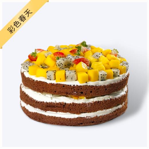 彩色春天-巧克力蛋糕胚甜中带着苦味 商品图0