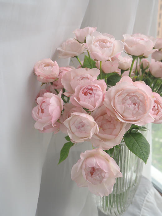 多头玫瑰 | 草莓杏仁饼 商品图1