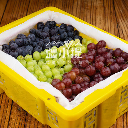 疆小提-三色葡萄 商品图1