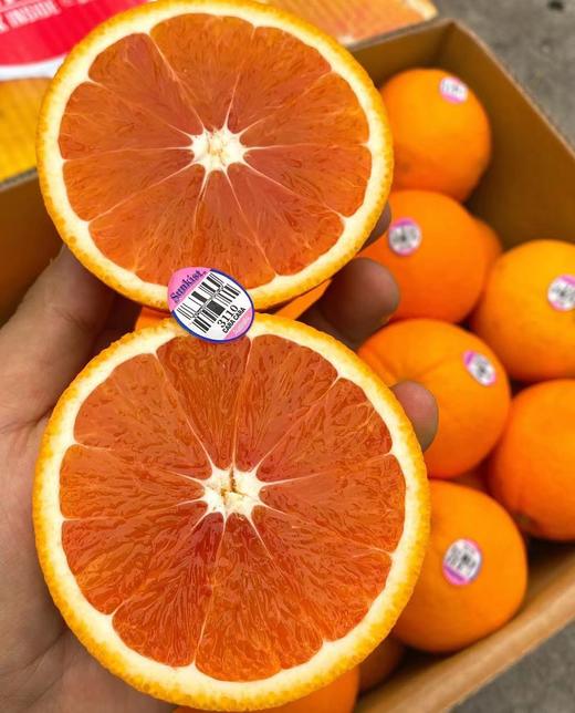 【澳洲新骑士血橙】5个/份，橙香浓郁，口感细腻 商品图2