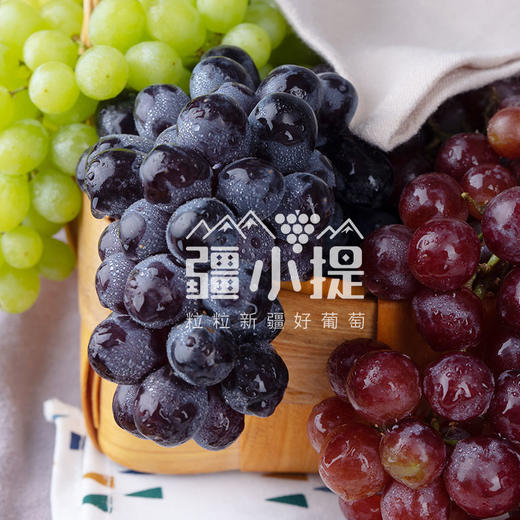 疆小提-三色葡萄 商品图0