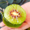 【顺丰发货】四川红心猕猴桃当季现摘现发清甜多汁果肉细嫩满满维C 商品缩略图2