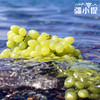 疆小提-无核白葡萄 商品缩略图2