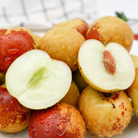 陕西大荔脆冬枣果肉饱满鲜甜爽脆现摘现发3斤装