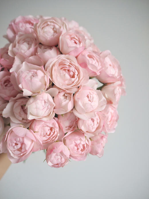 多头玫瑰 | 草莓杏仁饼 商品图4